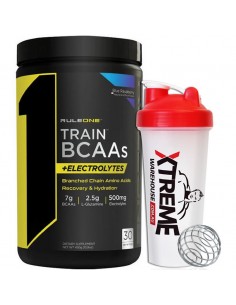 R1 Train BCAA by Rule 1 Proteins