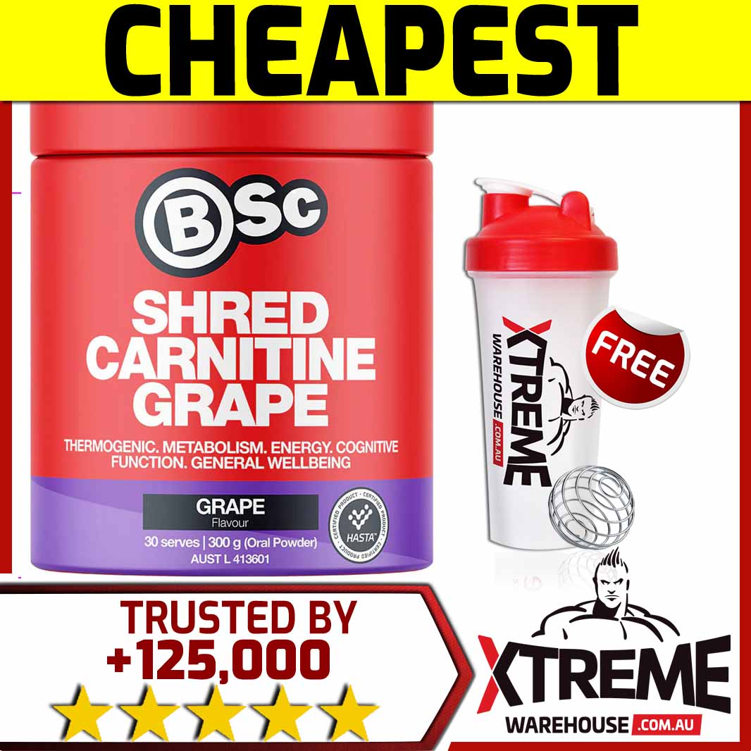 bsc l carnitine Shred Energy Hydration Powder  Supplements BSc Shred Carnitine contains a